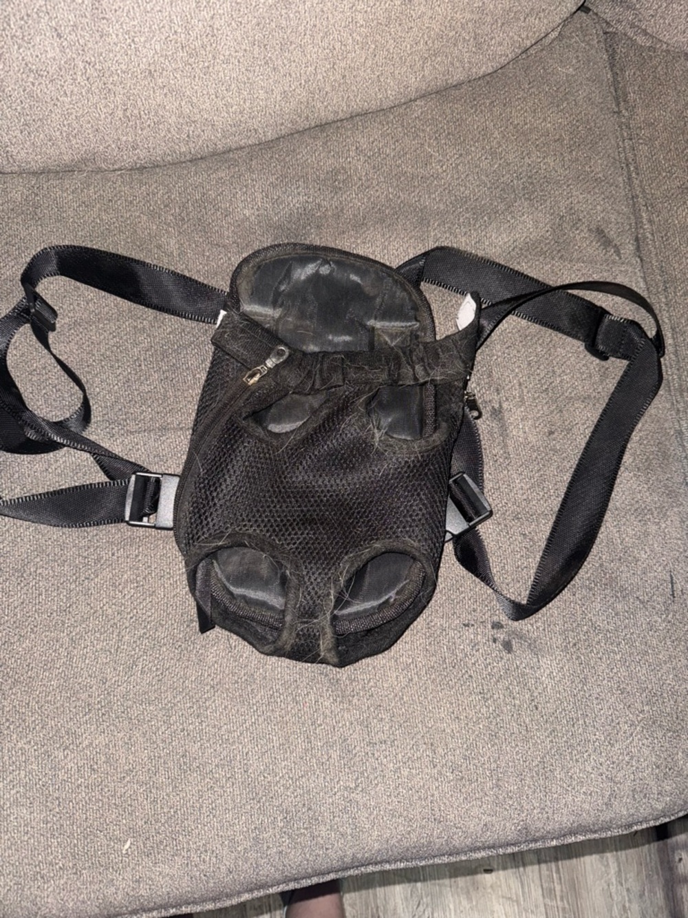 Cat or small dog front carry backpack